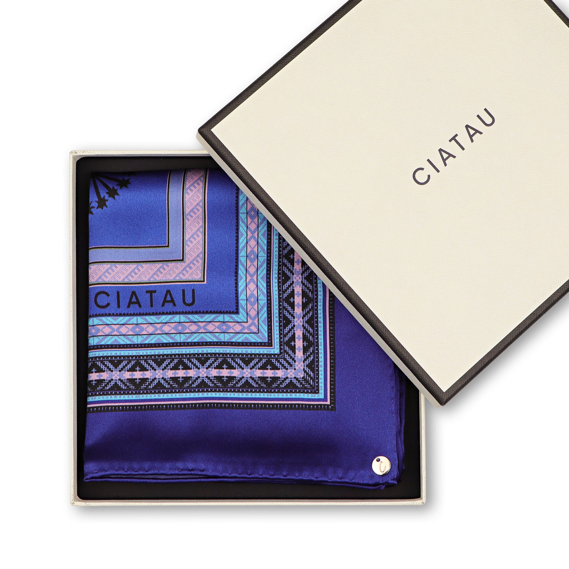 Large Purple Silk Scarf In Box CIATAU